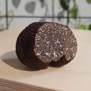 Nấm Truffle