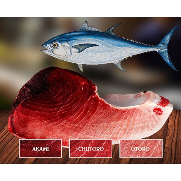 z4810486712201fb0d38e0c57e809048d3e32c74d1b5af-4068 Bluefin Tuna